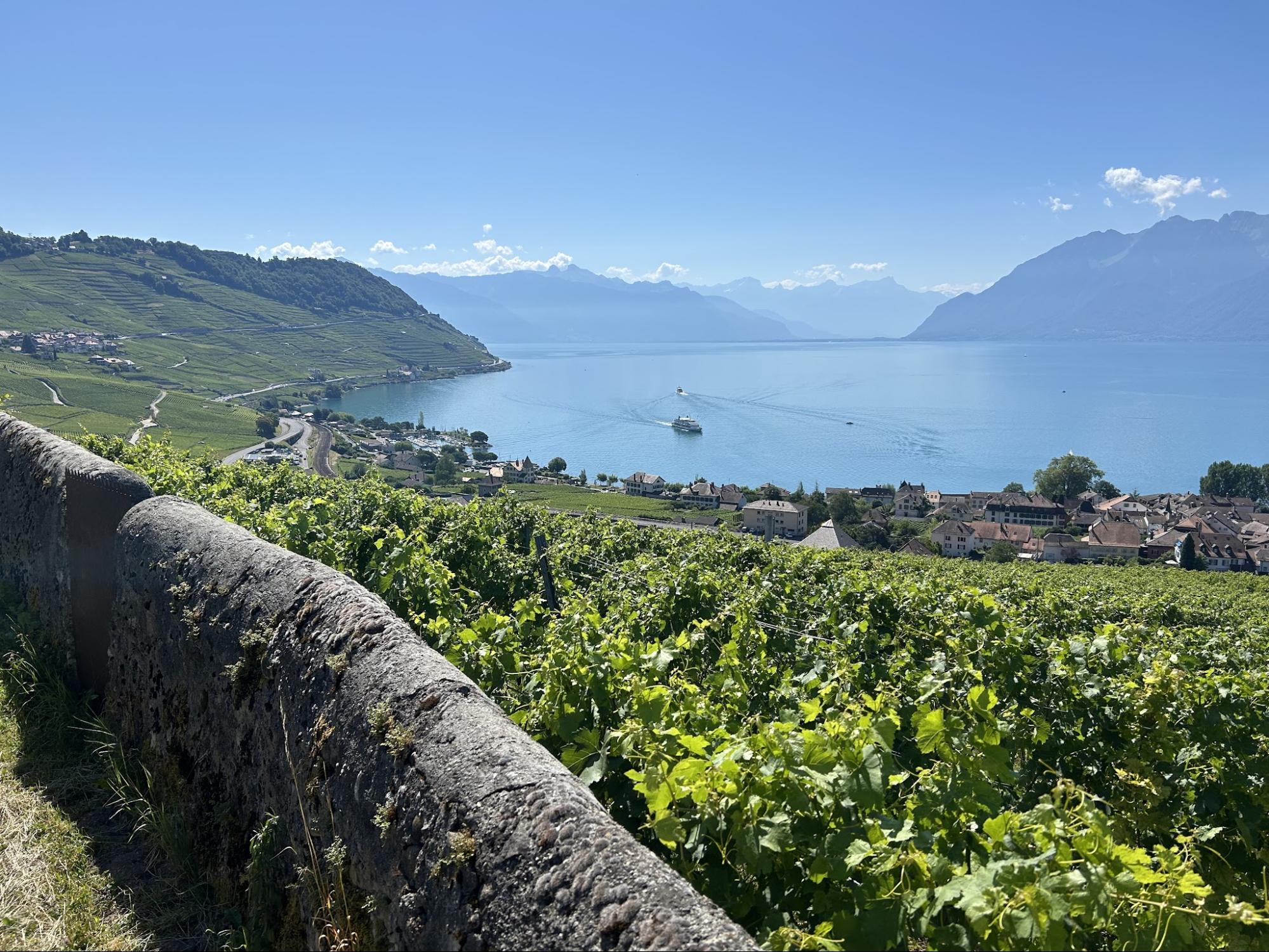 View of the Lavaux vineyards and Lake Geneva in Switzerland, Molly's Maps travel guide